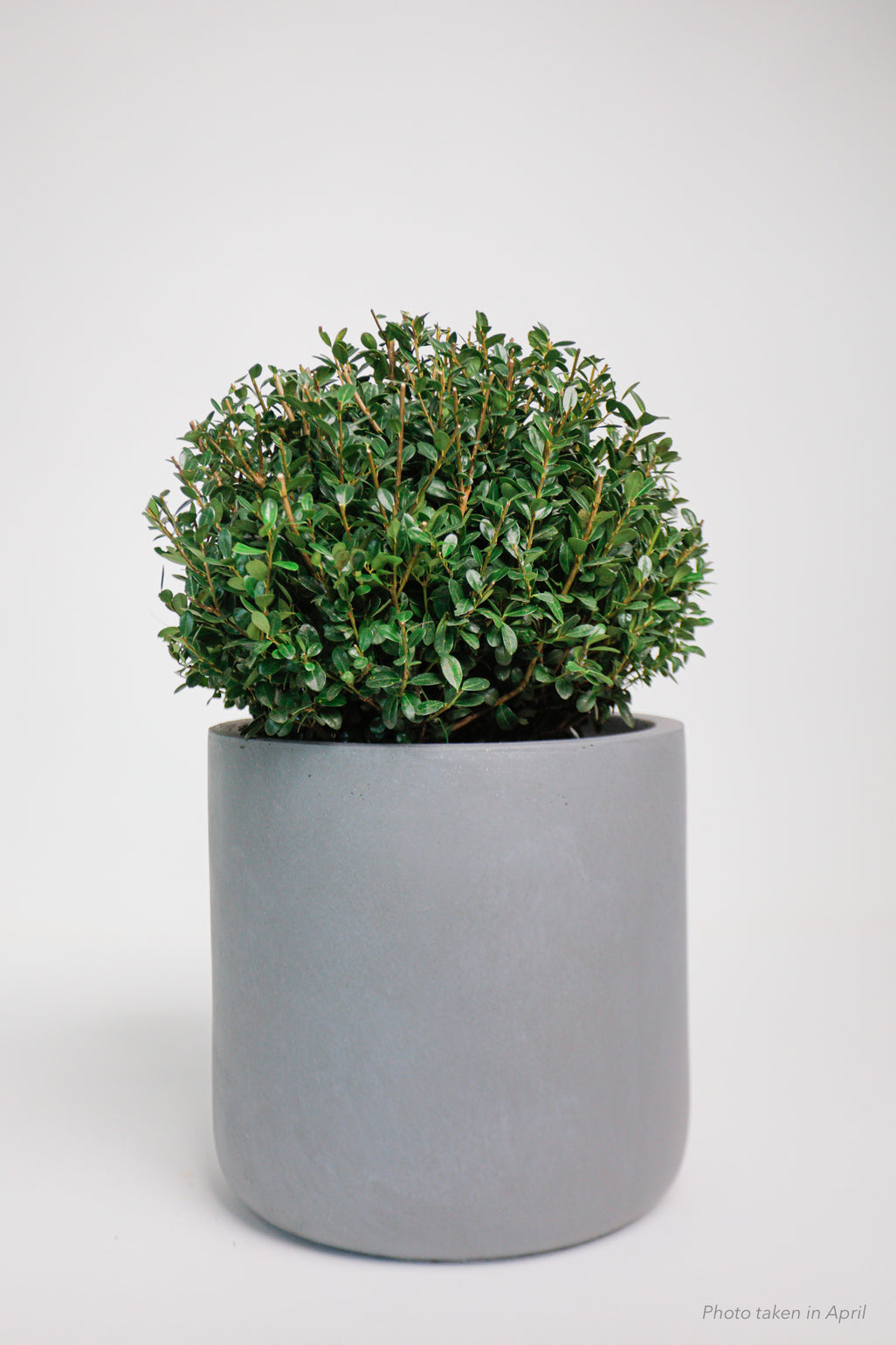 products/SotoProductShootLowQ-2717_420755f1-3238-48f4-a54b-ae4896486b5e.jpg